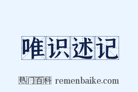 唯识述记是什么意思的图片